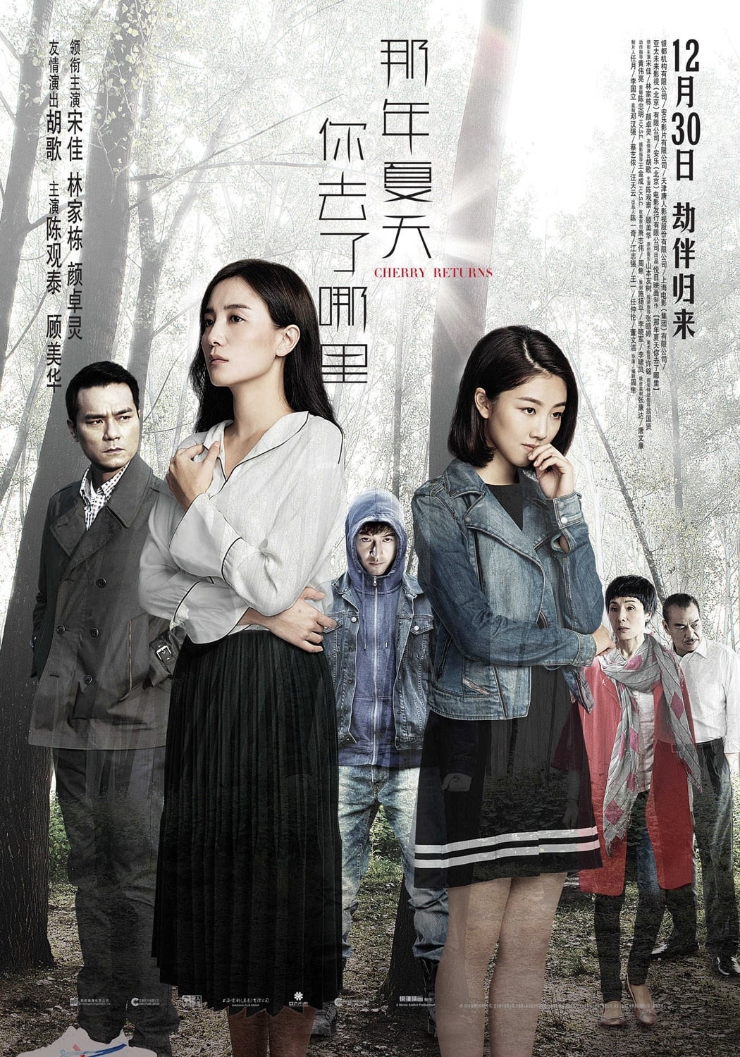 poster image