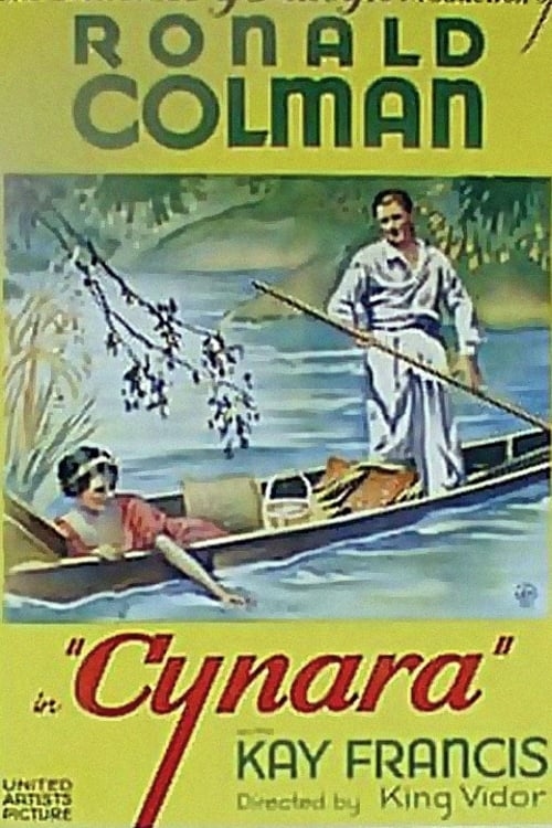 poster image