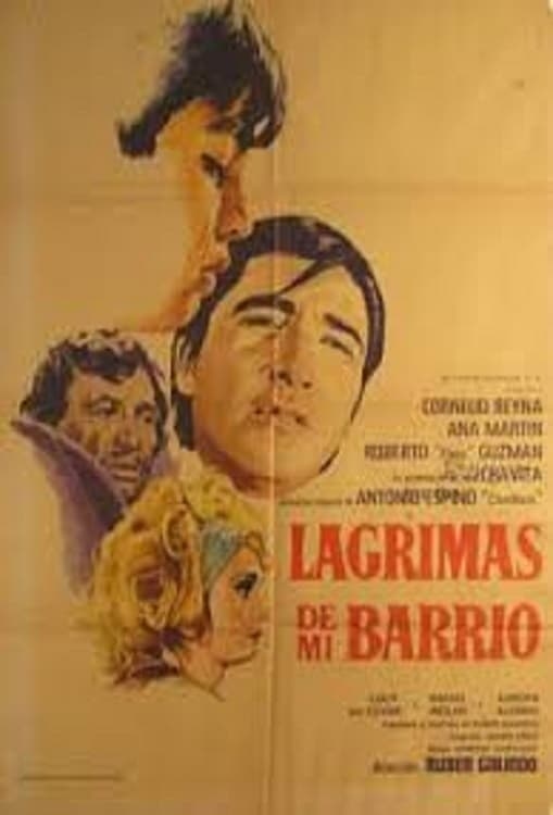 poster image