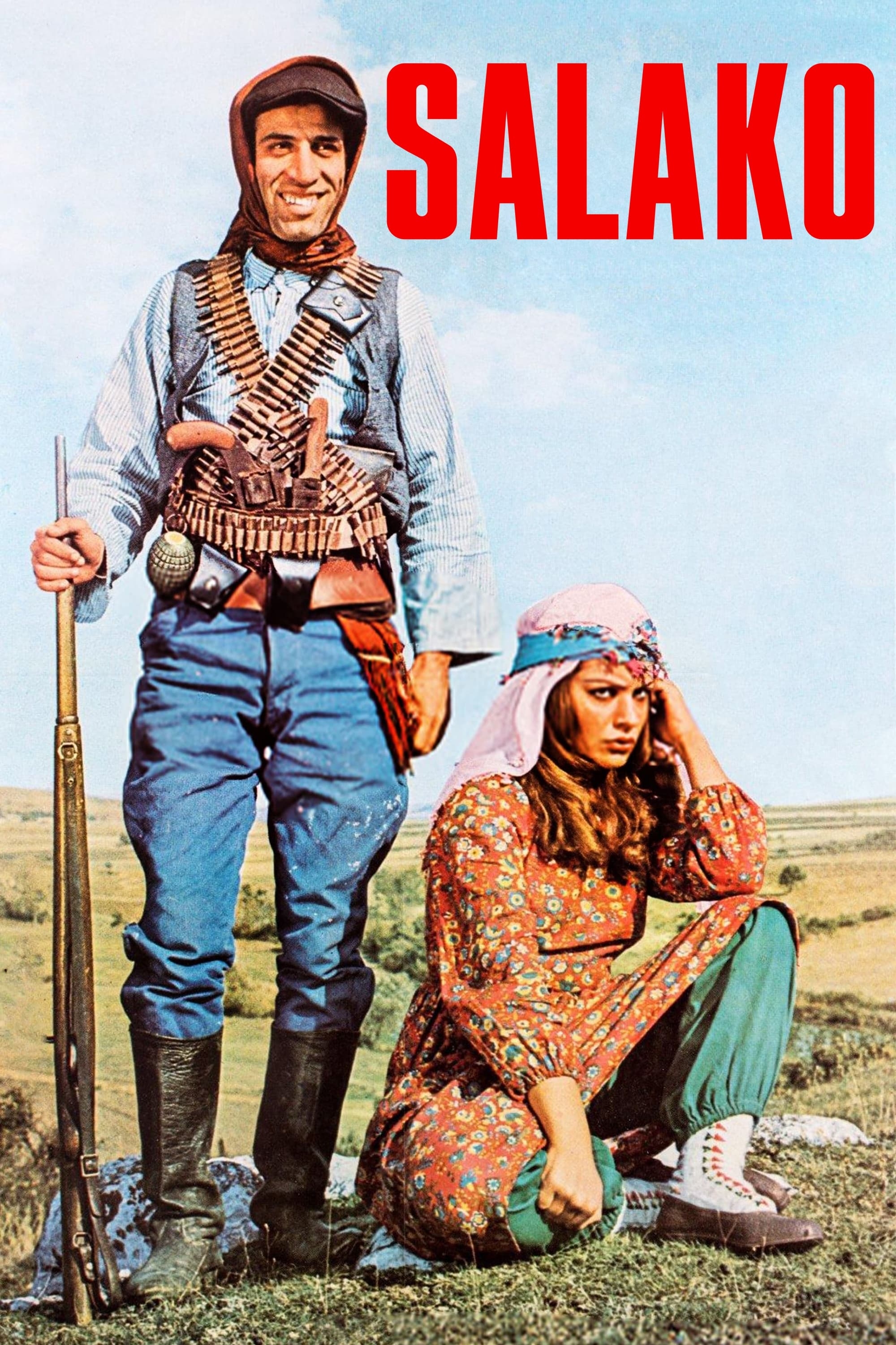 poster image