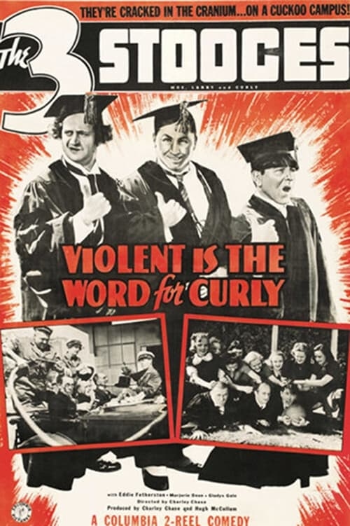 poster image