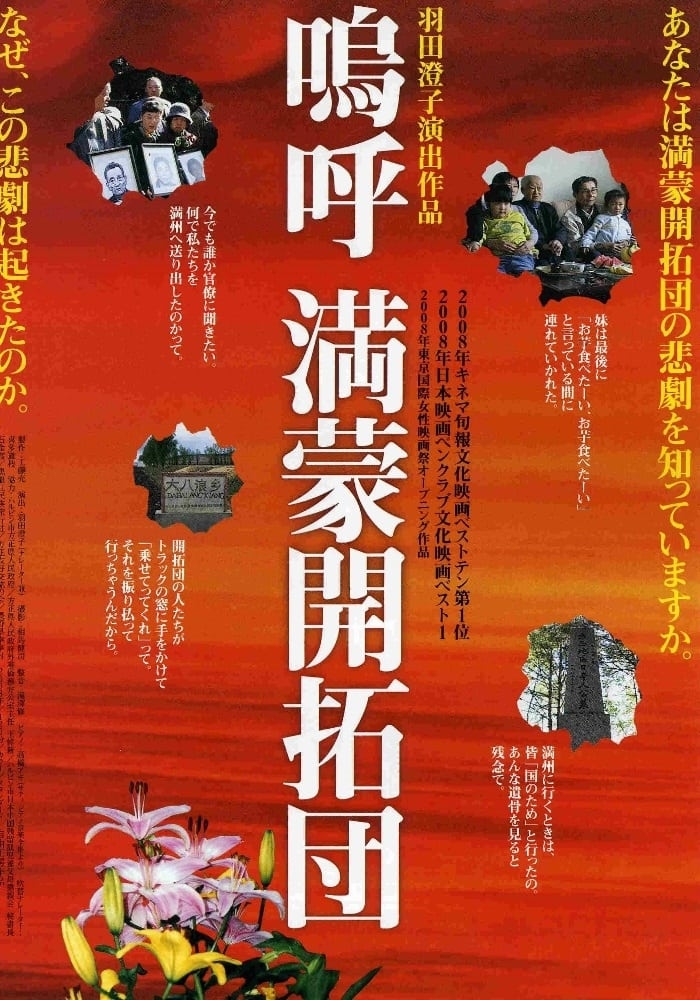 poster image