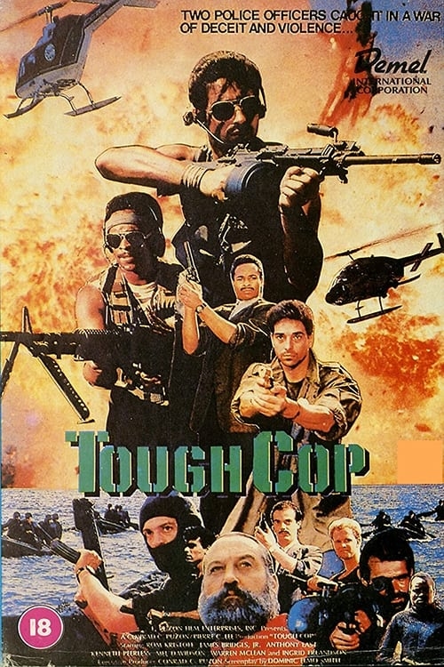 poster image